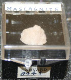Mascagnite