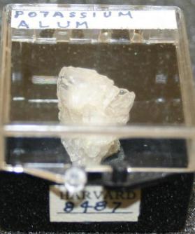 Potassium Alum
