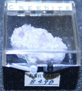 Creedite