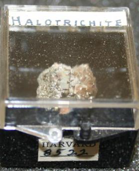 Halotrichite