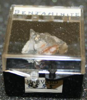 Benjaminite