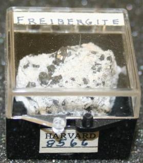 Freibergite
