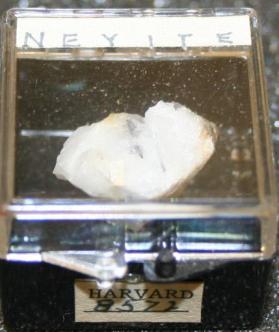 Neyite