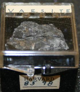 Vaesite