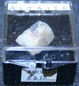 Altaite