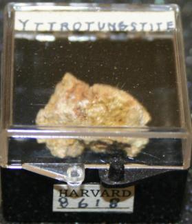 Yttrotungstite-(Y)