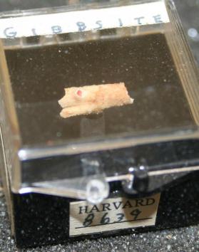 Gibbsite