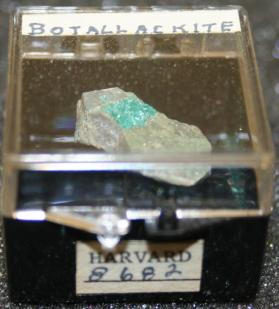 Botallackite