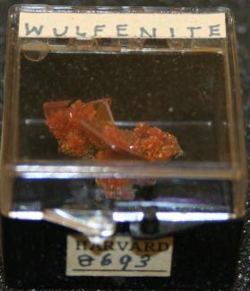 Wulfenite