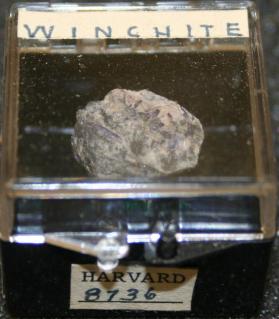 Winchite