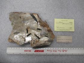 SCHORL with Muscovite