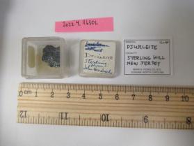 Djurleite