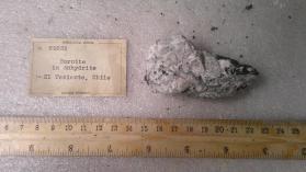 Bornite