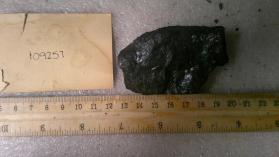 Bornite