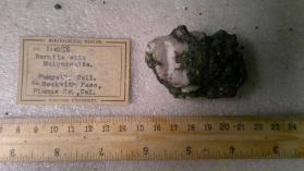 Bornite