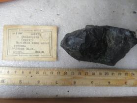 Djurleite