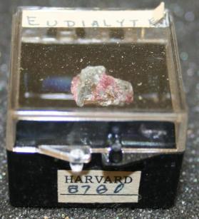 Eudialyte