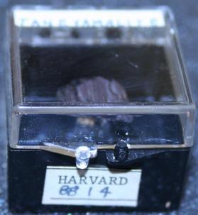 Taneyamalite