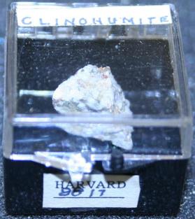 Clinohumite