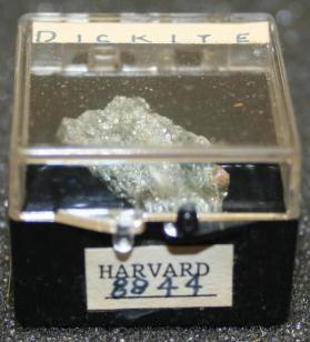 Dickite