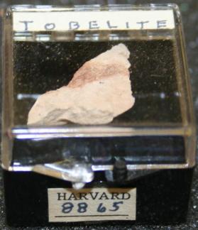 Tobelite