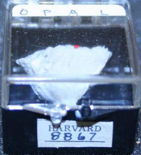 OPAL