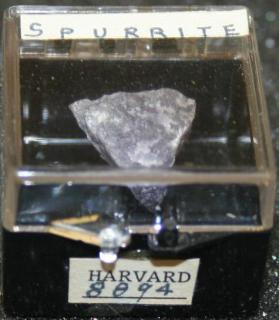 Spurrite