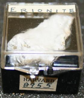 Erionite
