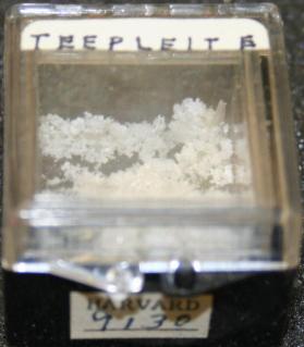 Teepleite