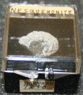 Nesquehonite