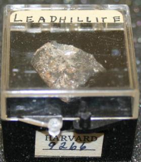 Leadhillite