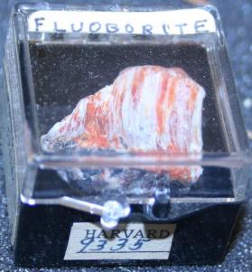 Fluoborite