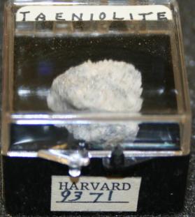 Taeniolite