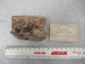 MICROCLINE