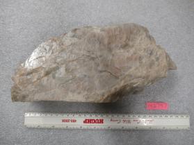 perthite
