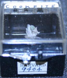 Cookeite