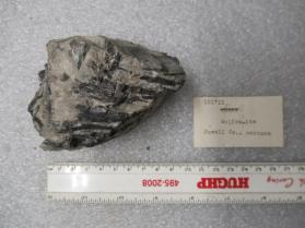 Wolframite Series