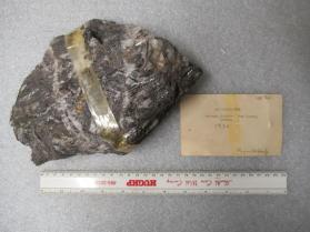 Ferberite
