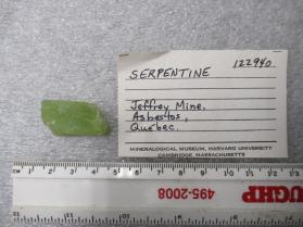 SERPENTINE
