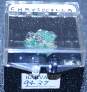 CHRYSOCOLLA