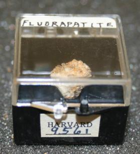 FLUORAPATITE