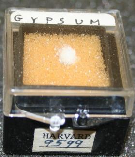 Gypsum