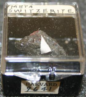 Metaswitzerite