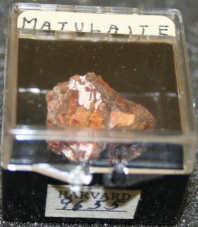 Matulaite