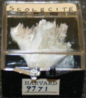 SCOLECITE