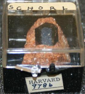 SCHORL