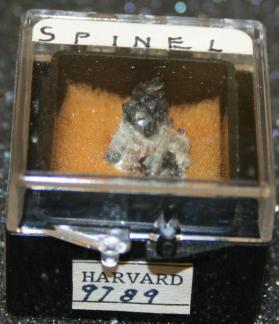 SPINEL