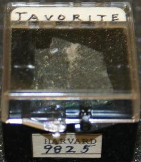 Tavorite
