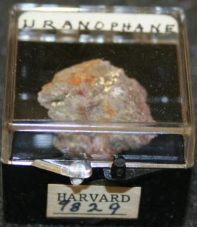 Uranophane