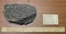 Feather Amphibolite